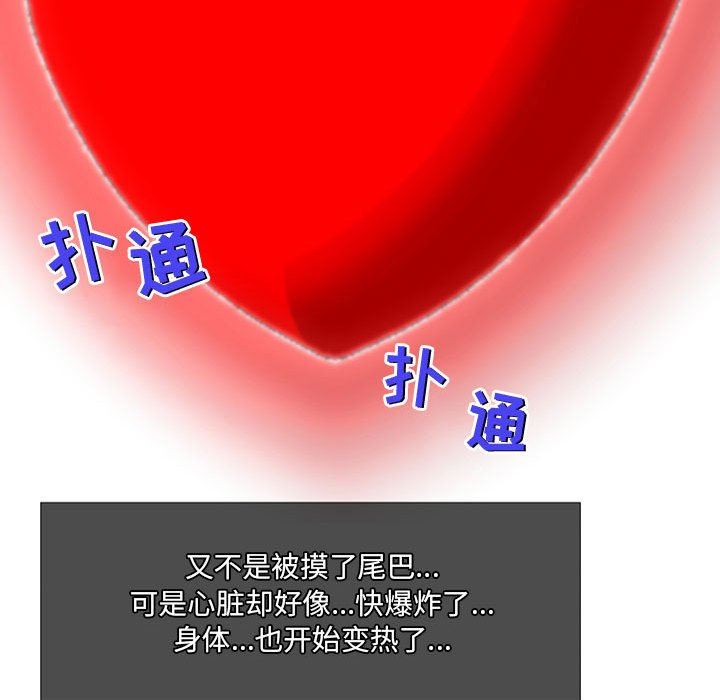 上司的尾巴摸不得第6话