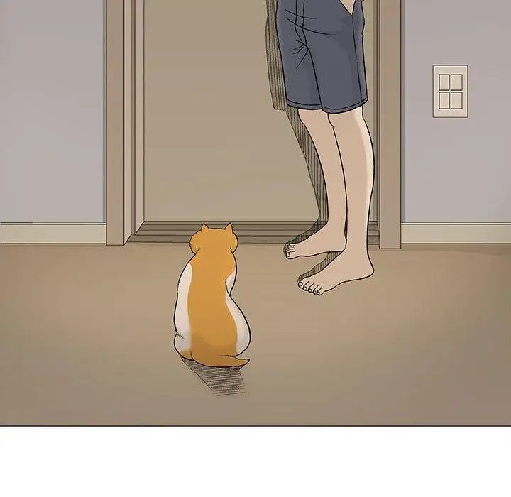 奇趣新人第19话