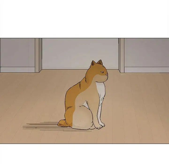 奇趣新人第19話