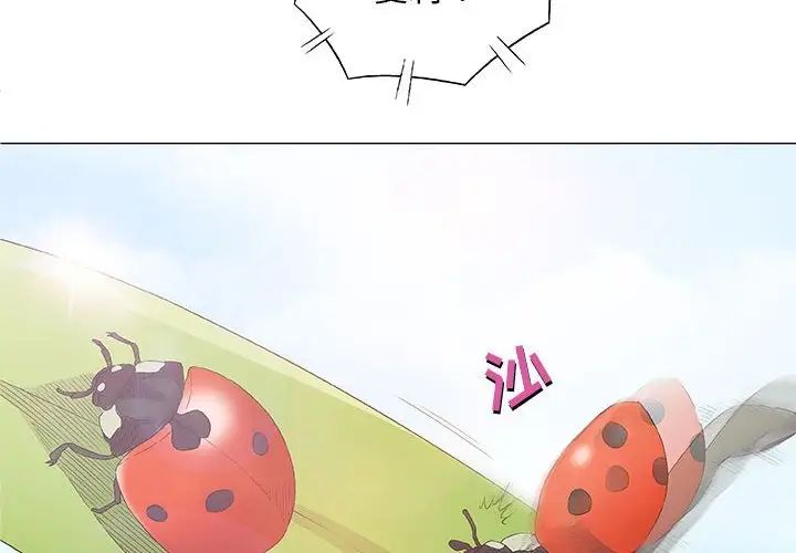 奇趣新人第26话