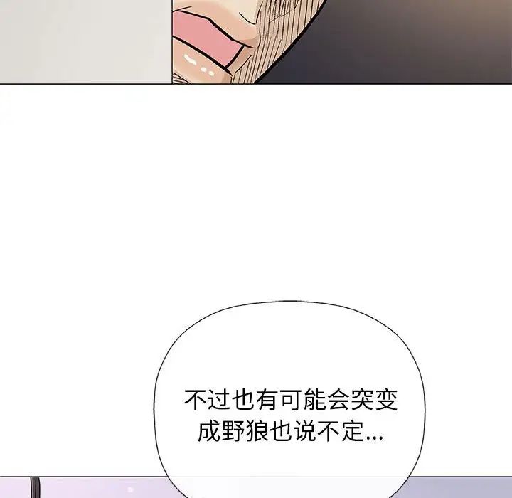 奇趣新人第26话