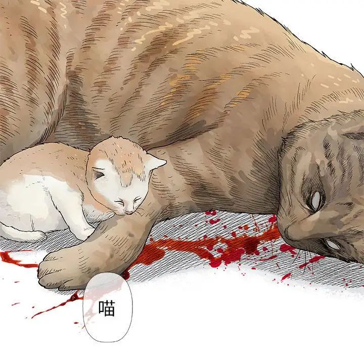 奇趣新人第28話