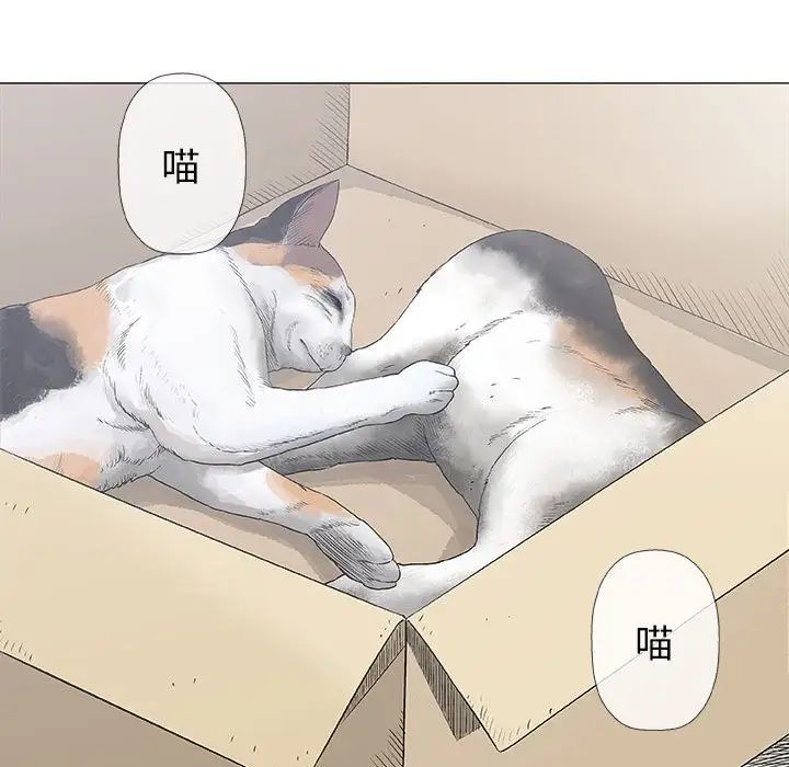 奇趣新人第28话