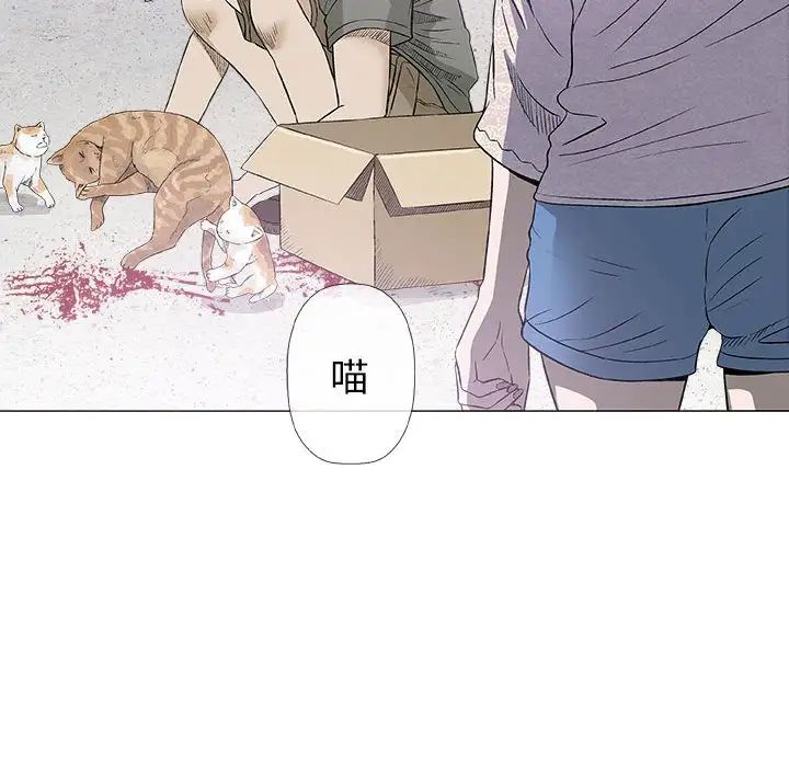 奇趣新人第28話