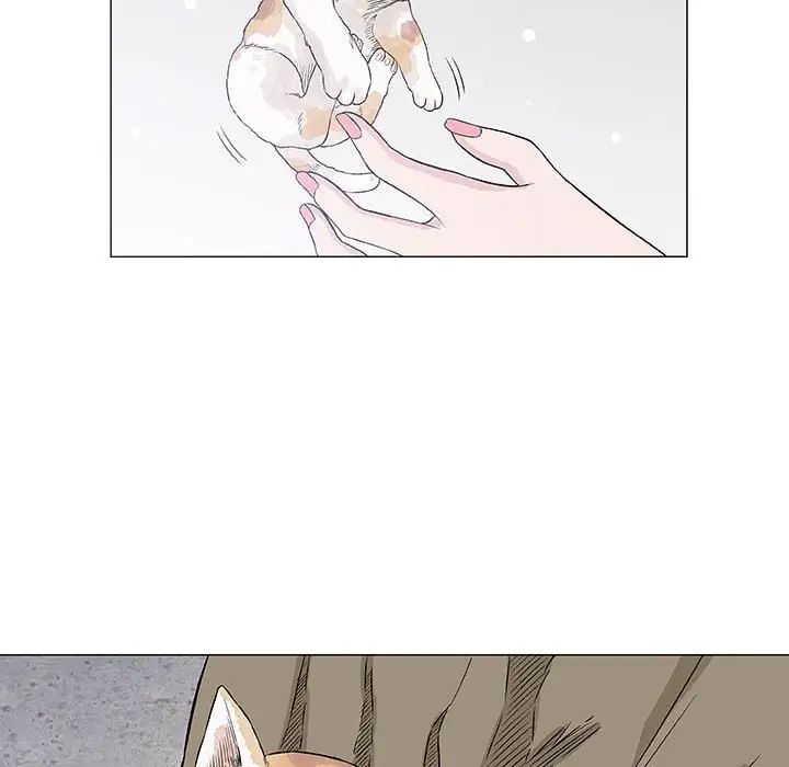 奇趣新人第28话