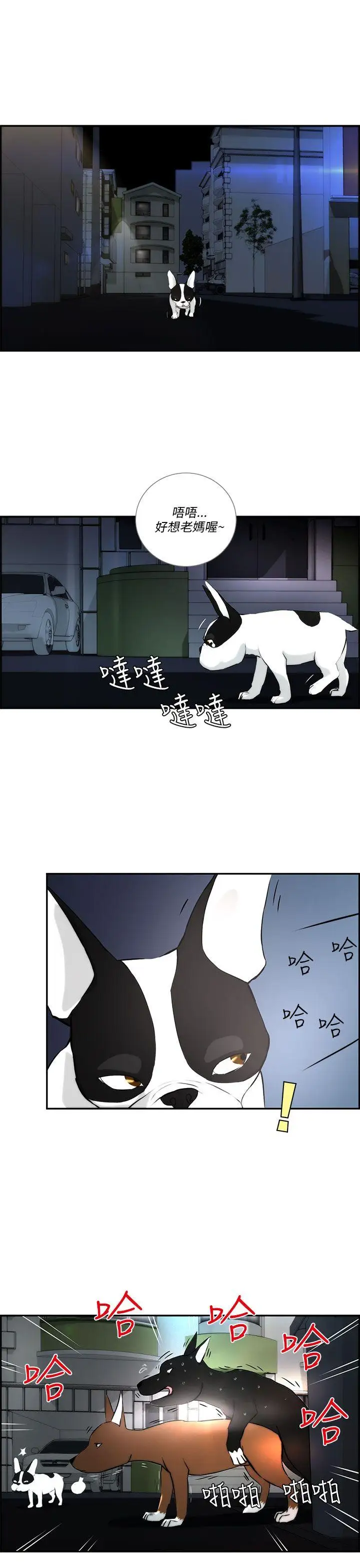 变成狗的男人第3话