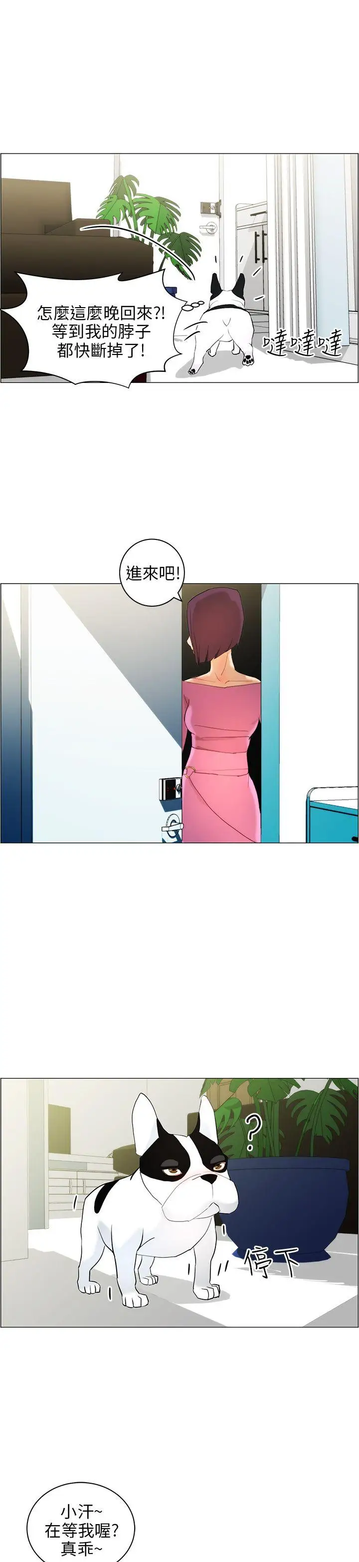 變成狗的男人第10话