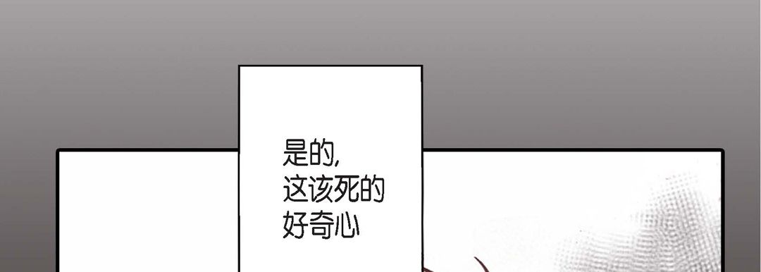 完美无缺的虏获第1话