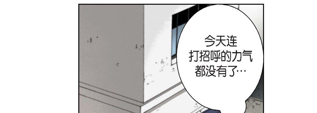 完美无缺的虏获第4话