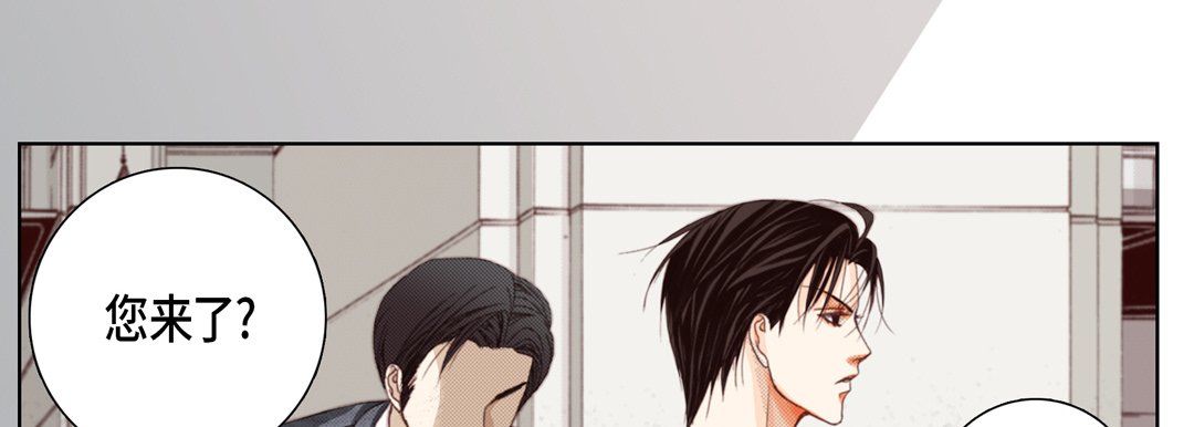 完美無缺的虜獲第12話