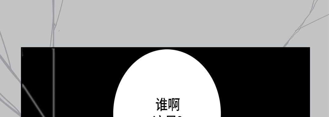 完美无缺的虏获第12话