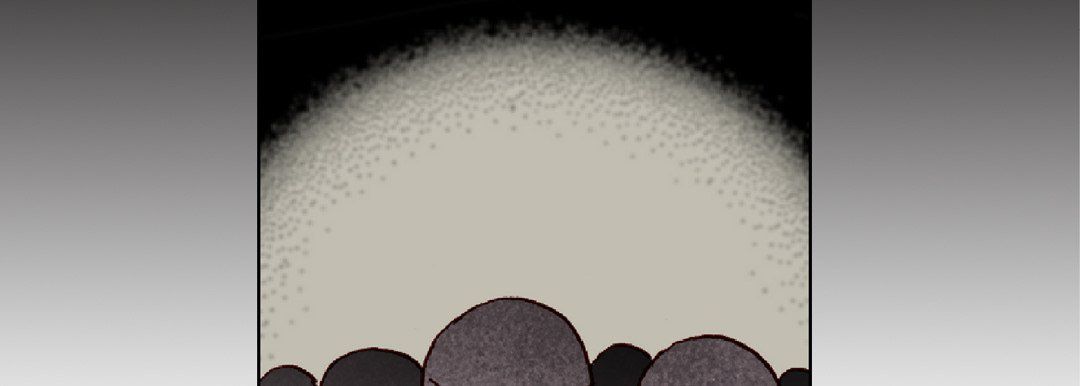 完美無缺的虜獲第19話