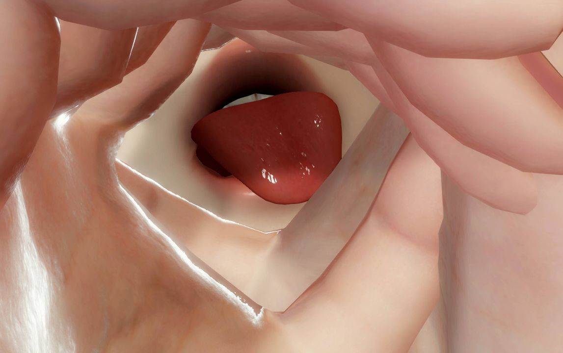 [3D]完全傢族崩坏第06话-最终话