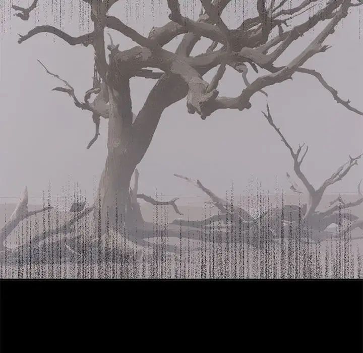 上流社会的女人第15话