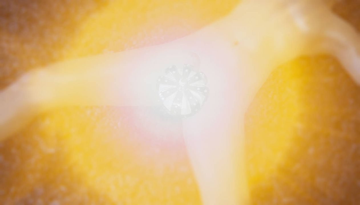 [3D]為所欲為58-魔都大战篇最終話