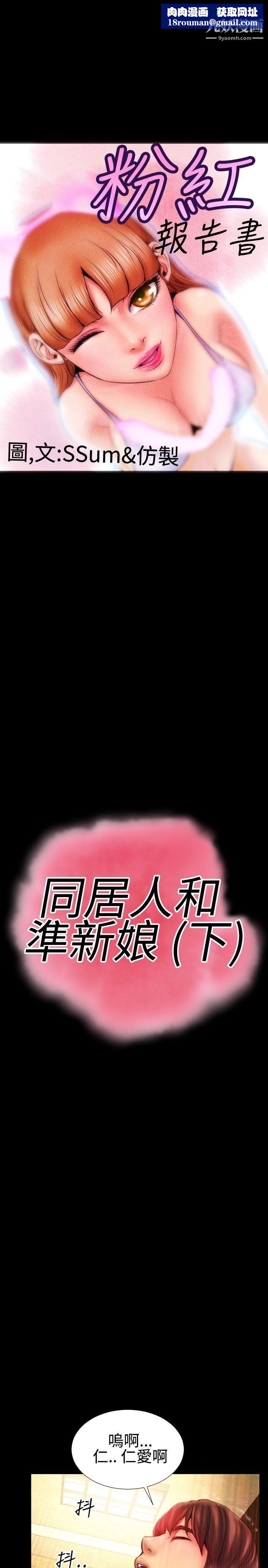 粉红报告书最终话