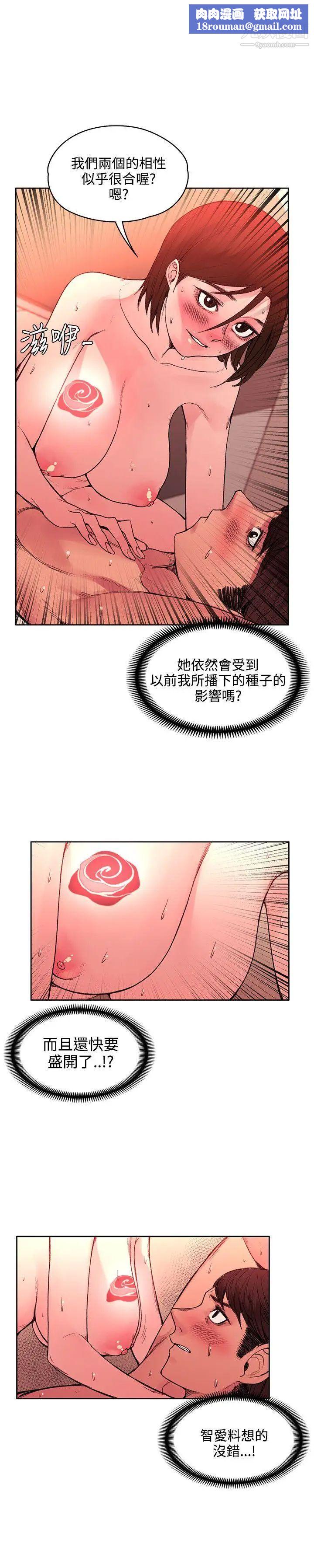 那里的香气第20话