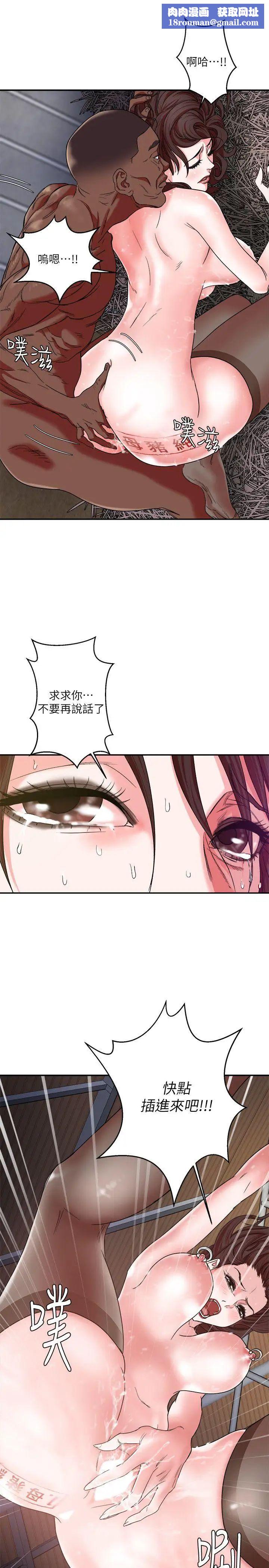 母豬養成計畫第4話-調教