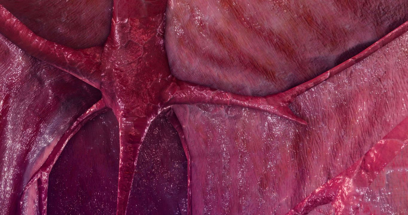 [3D]淫妖兽语第二季第18话