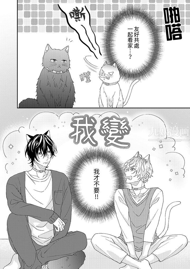 哈鲁和路伊的二喵世界lovelife！第1话