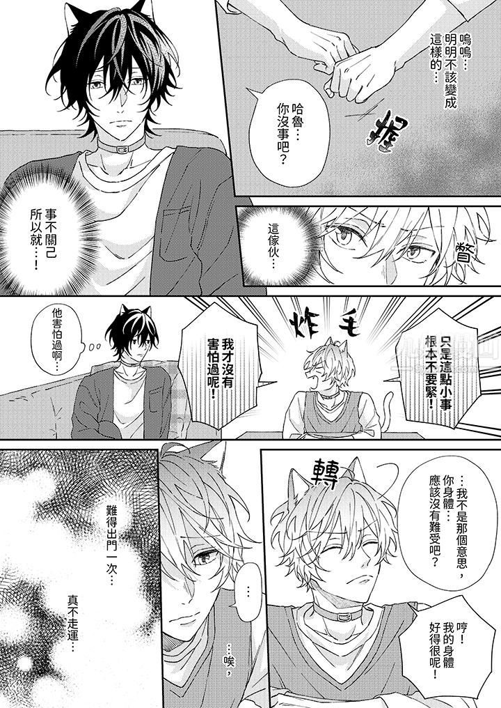 哈鲁和路伊的二喵世界lovelife！第1话