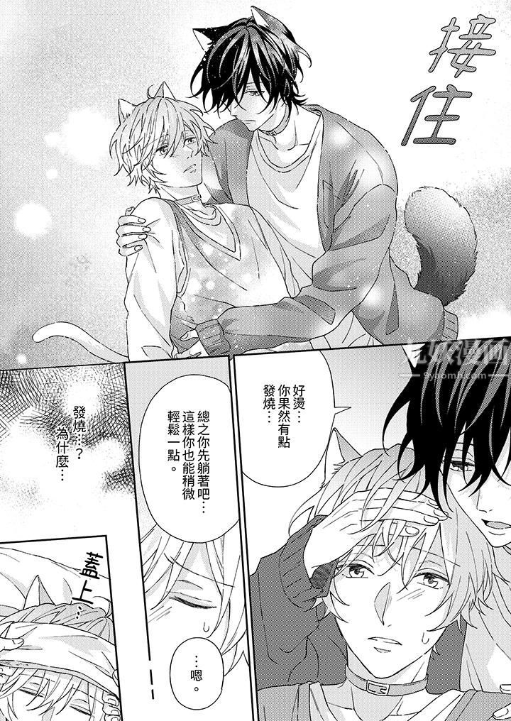 哈鲁和路伊的二喵世界lovelife！第2话