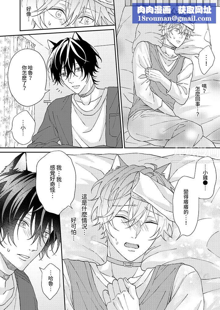 哈鲁和路伊的二喵世界lovelife！第2话