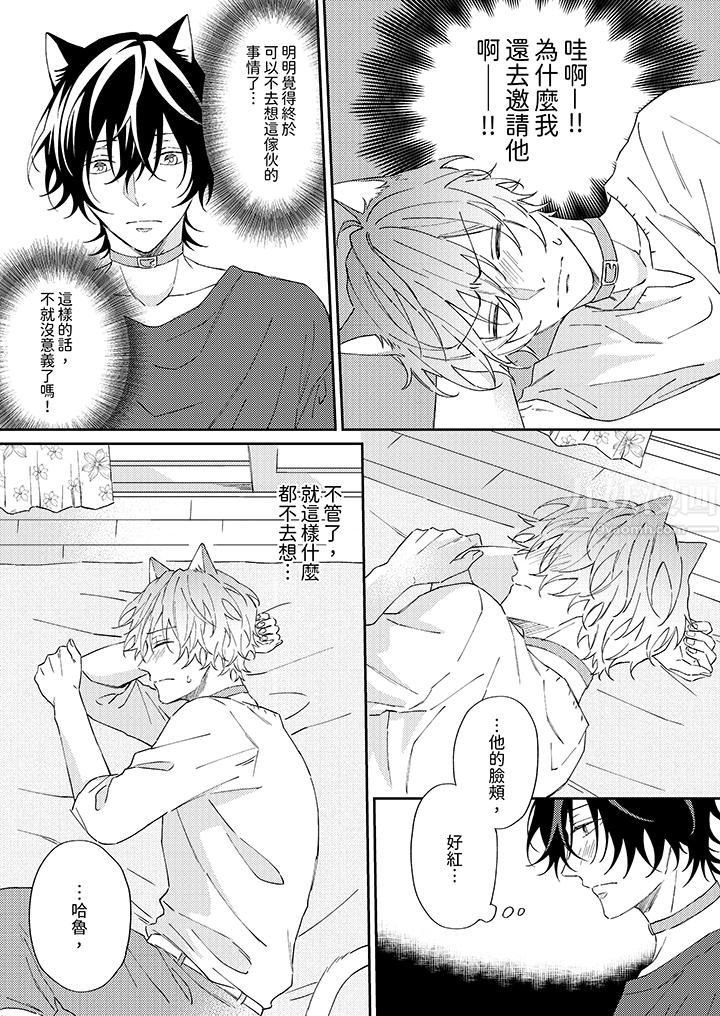 哈鲁和路伊的二喵世界lovelife!第3话