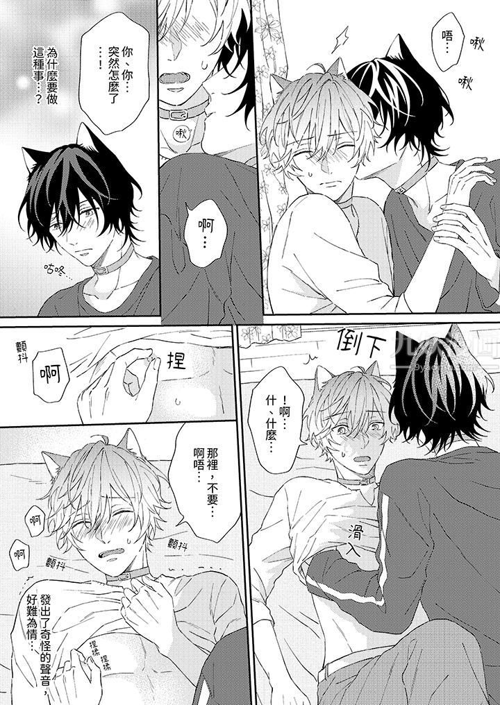 哈魯和路伊的二喵世界lovelife！第4話