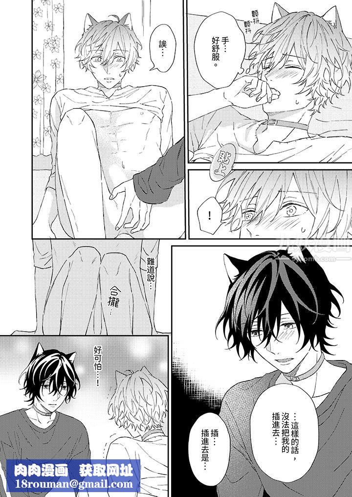 哈魯和路伊的二喵世界lovelife！第4話