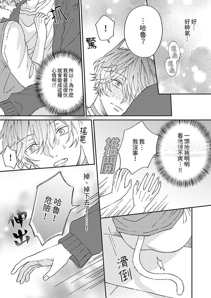 哈鲁和路伊的二喵世界lovelife!第5话