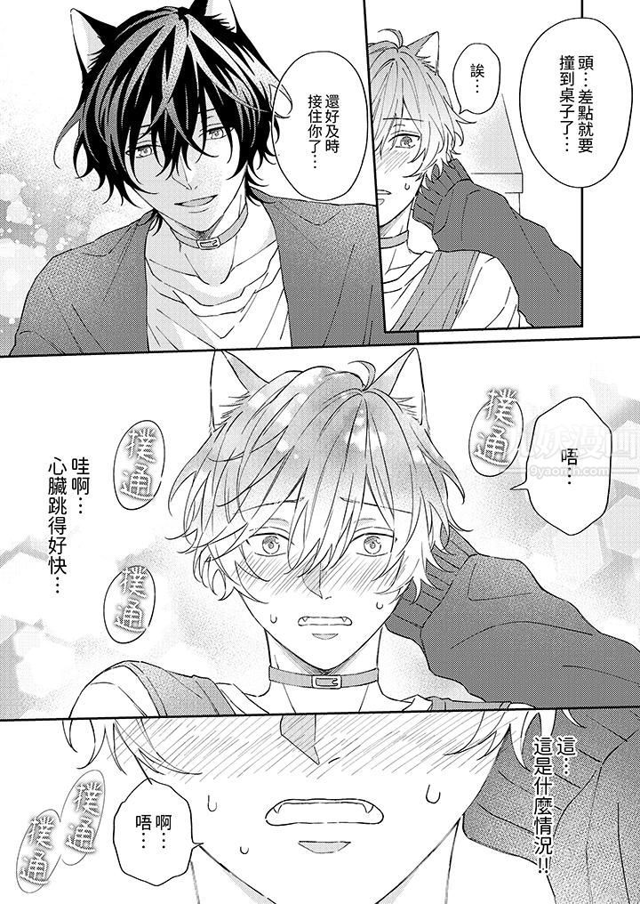 哈鲁和路伊的二喵世界lovelife！第5话