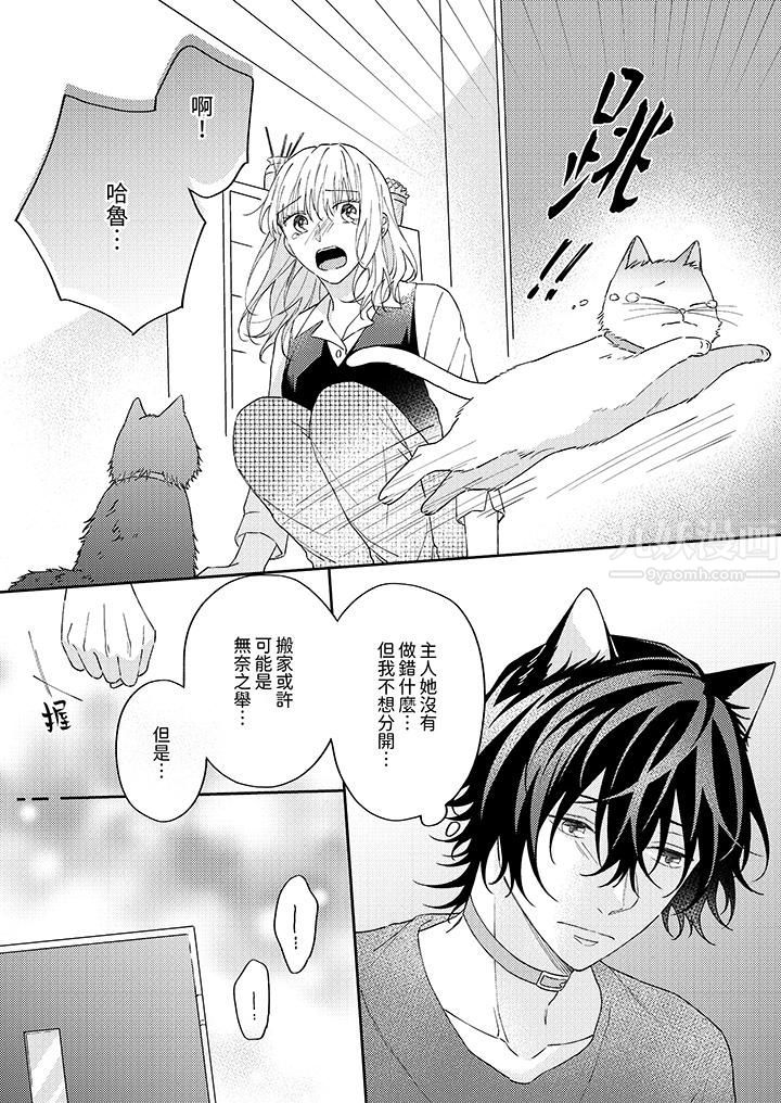 哈鲁和路伊的二喵世界lovelife!第8话