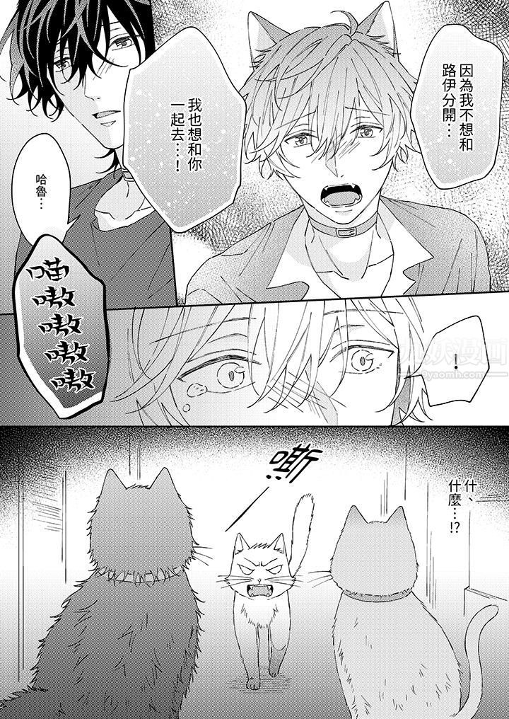哈鲁和路伊的二喵世界lovelife!第9话