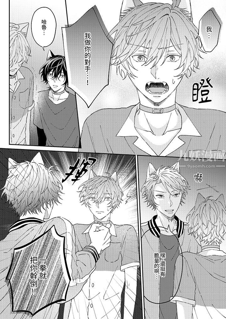 哈鲁和路伊的二喵世界lovelife！第9话