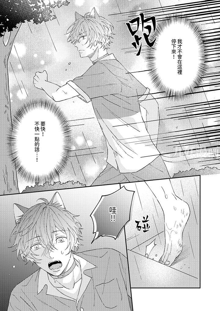 哈鲁和路伊的二喵世界lovelife！第11话