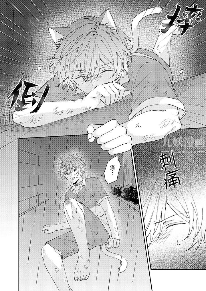 哈鲁和路伊的二喵世界lovelife!第11话