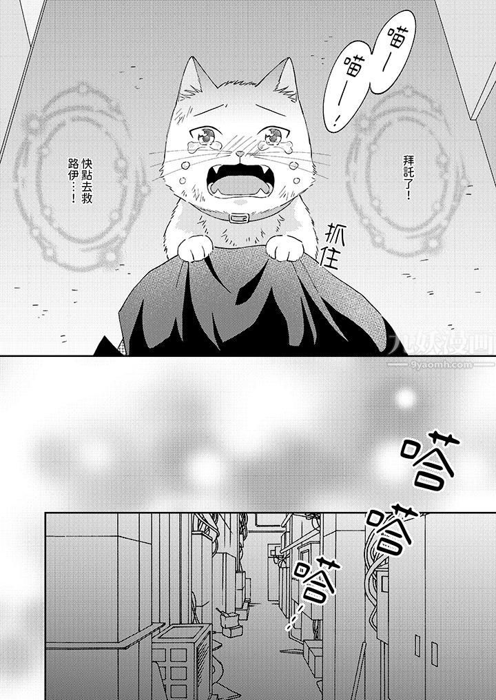 哈鲁和路伊的二喵世界lovelife！第11话