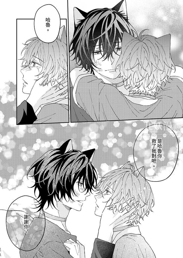 哈鲁和路伊的二喵世界lovelife！第12话