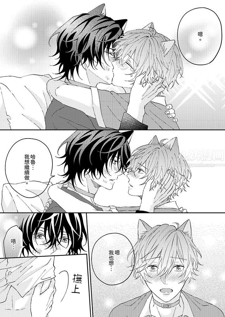 哈鲁和路伊的二喵世界lovelife！第12话