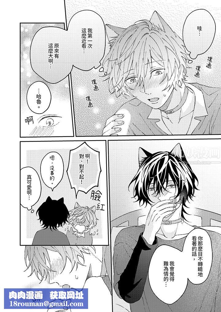 哈鲁和路伊的二喵世界lovelife!第12话