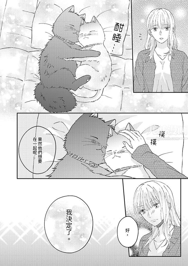 哈鲁和路伊的二喵世界lovelife！第12话