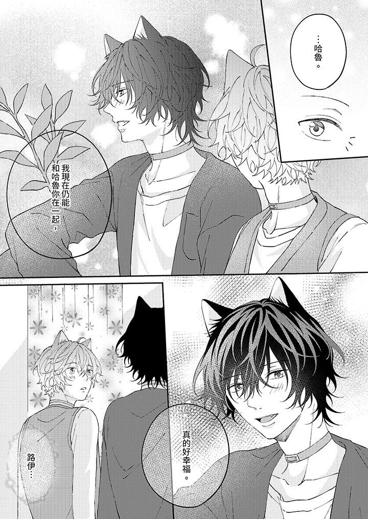 哈鲁和路伊的二喵世界lovelife！第13话