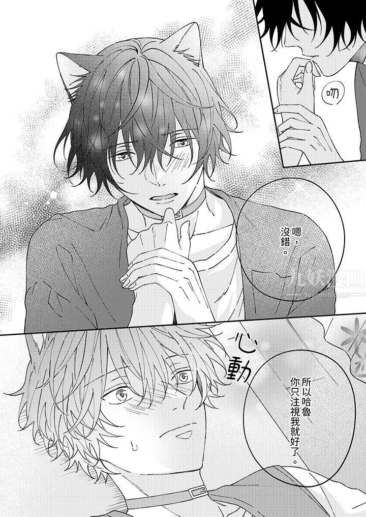 哈鲁和路伊的二喵世界lovelife!第13话