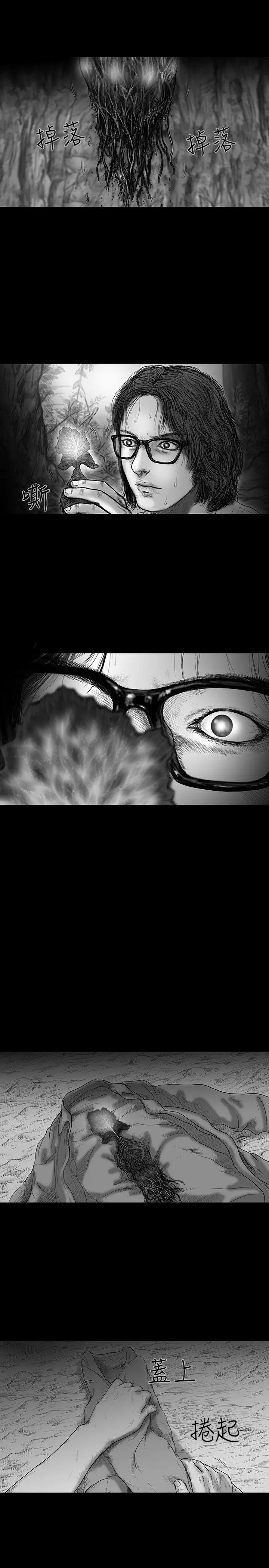 SEEDTheBeginning第10话