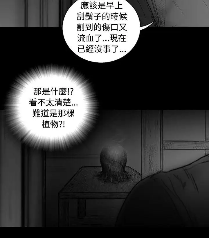 SEEDTheBeginning第17话