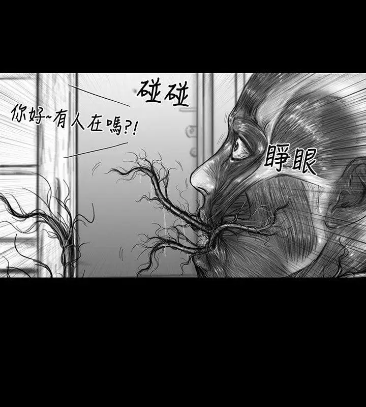 SEEDTheBeginning第20话