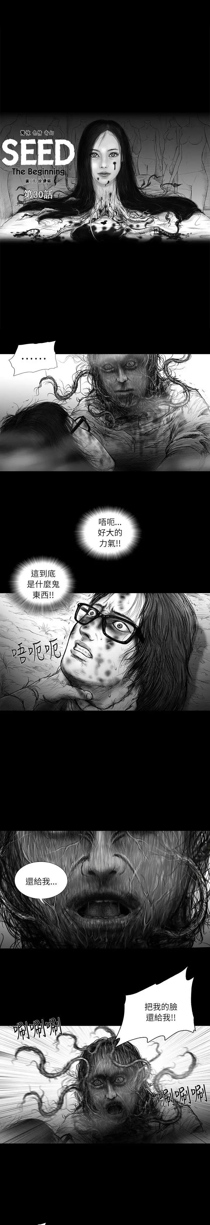 SEEDTheBeginning第30话