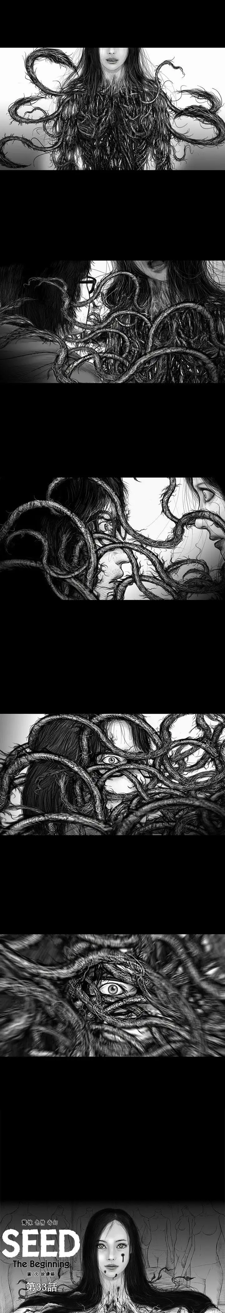 SEEDTheBeginning第33话
