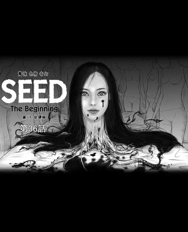 SEEDTheBeginning最终话